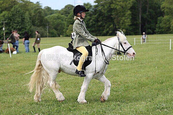 IMG_2653 - Working Hunter