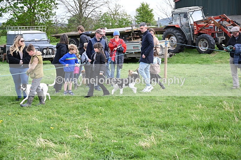 WJ6_8523 - Class 6 Best Rescue