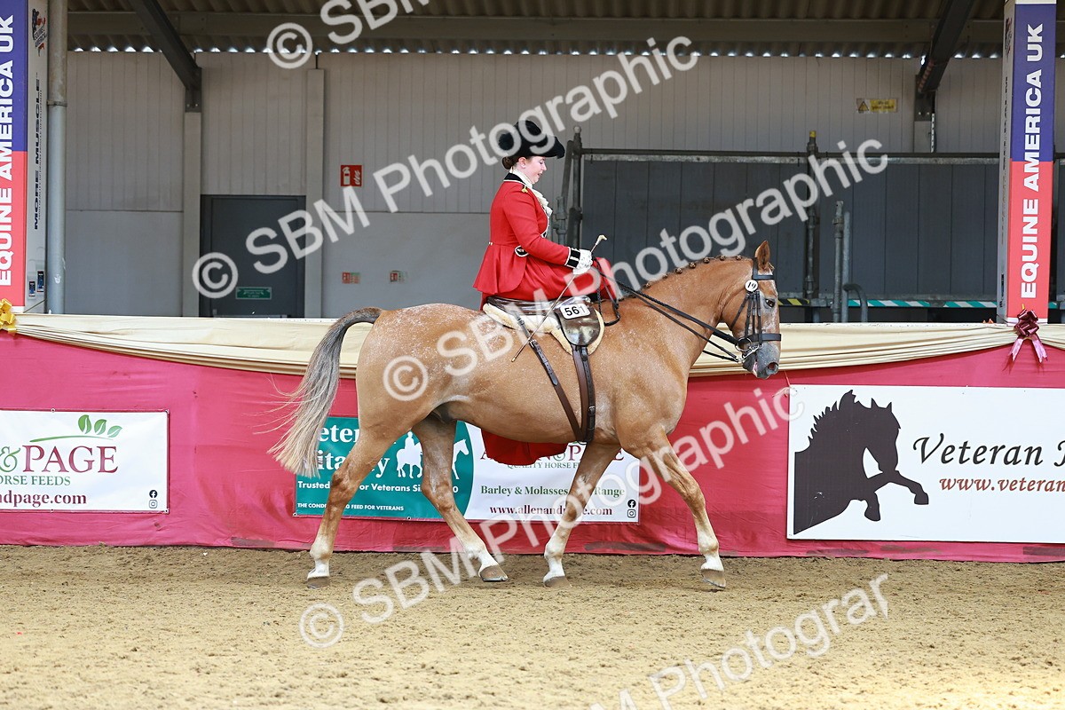 SBM_13867 - Class 106 - Ridden Costume - Side Saddle