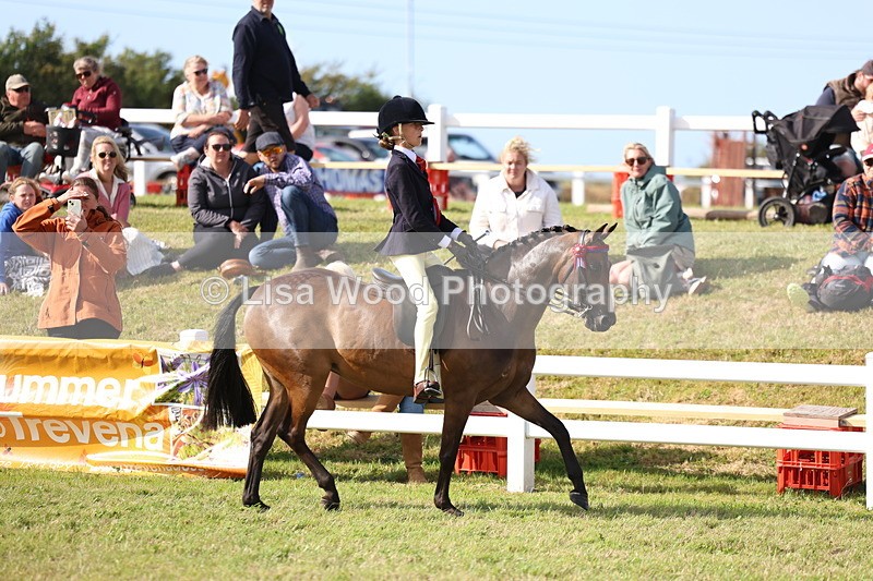 3E7A3814 - Supreme Championship