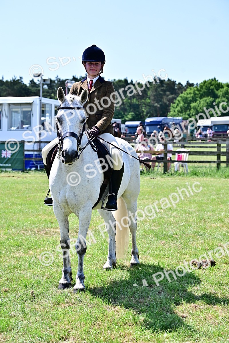 SBM_15316 - Class 95-97 - BSPS LHS Performance Ponies