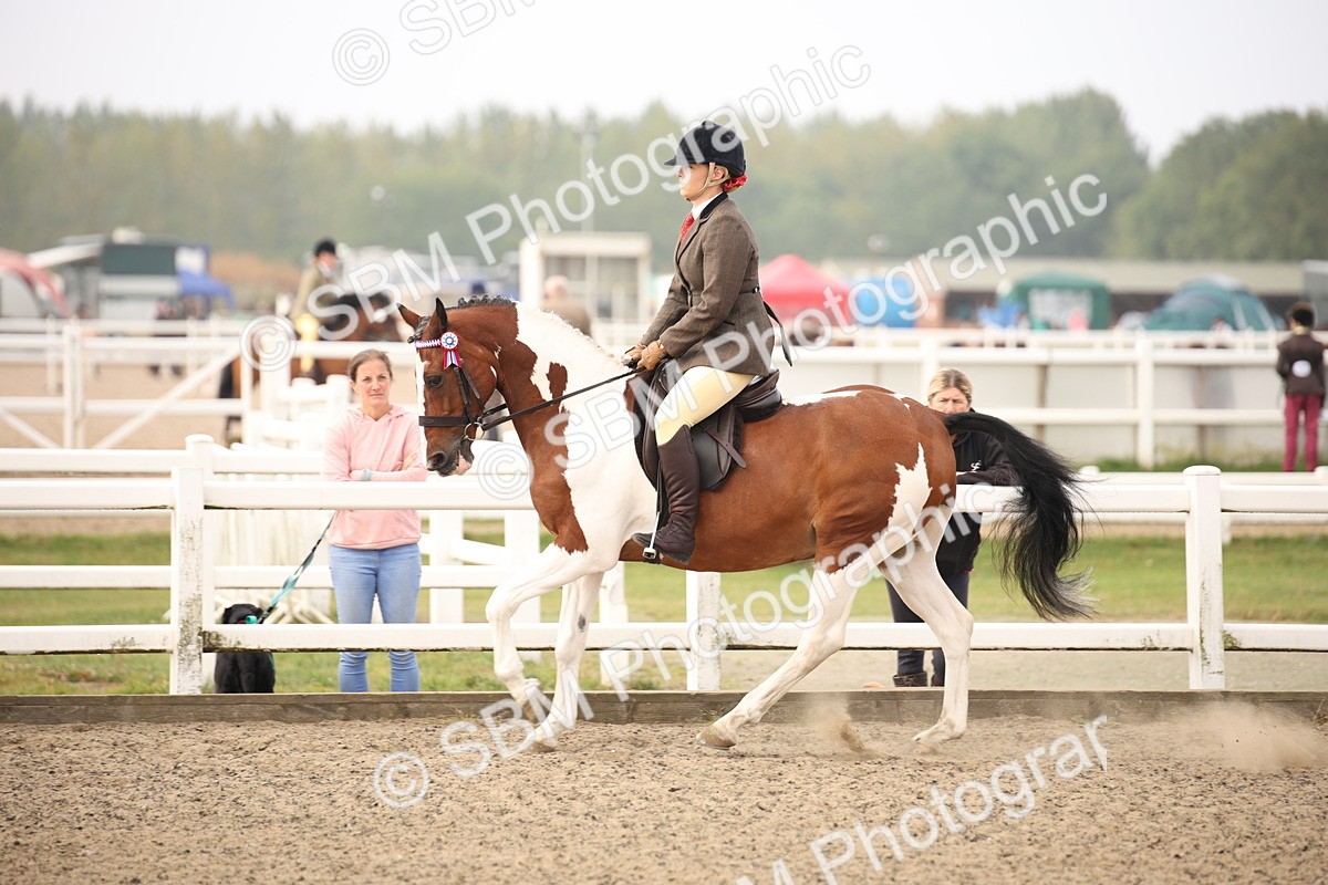 SBM_09732 - Class 401 Riding Club Pony