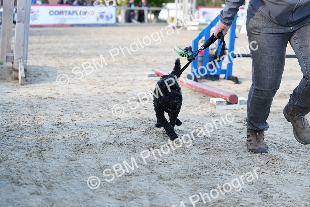 SBM_29005 - J43 - Horse & Hound Open 50cm