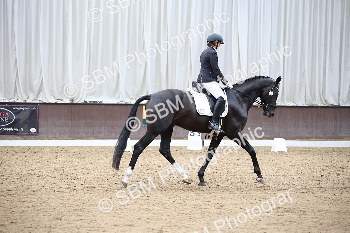 SBM_003505 - Class 5 - Novice 6 Gold - 13.05-14.00