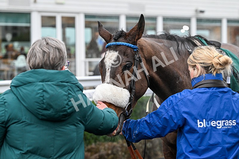 300126-Race 5-Bo Cruz-9685 - Race 5