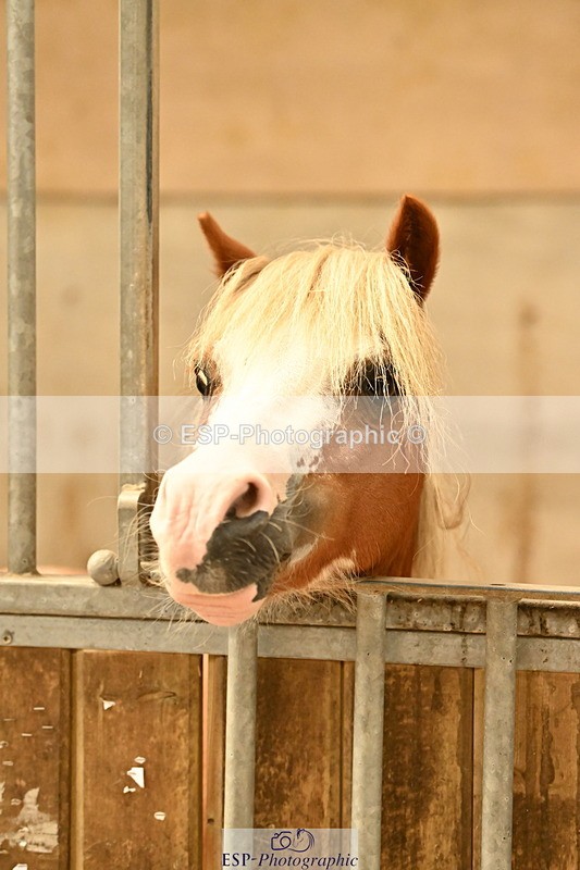 250821B-125639-00457 - Stable Shots and Group Photo