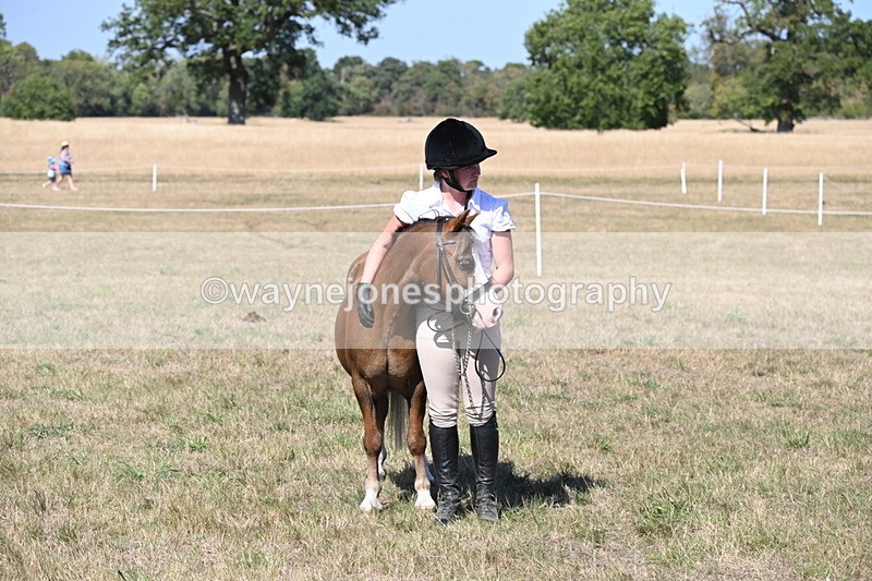 WJ6_9393 - Class 40 Cheekiest Pony/Horse