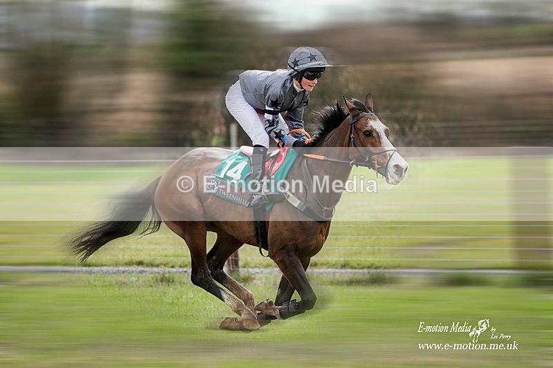 PtP 180323 145a - Equestrian
