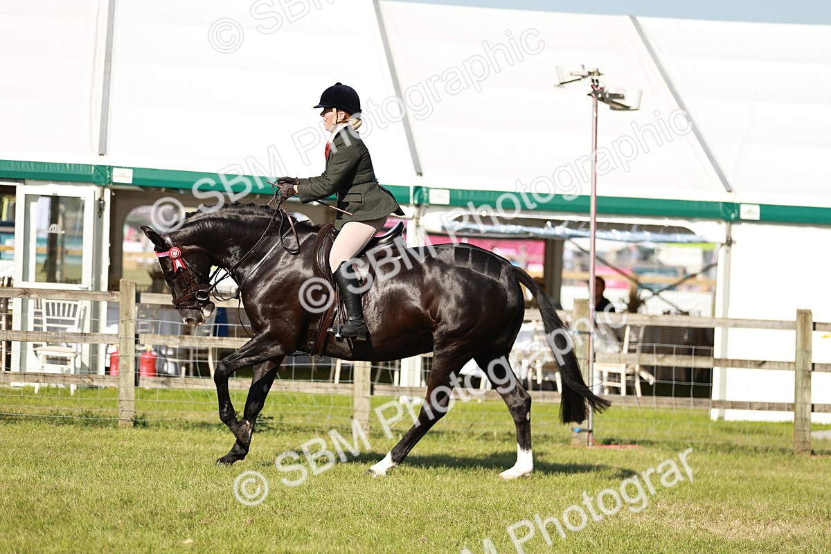 SBM_19240 - Class 115-116 - LIHS BSHA Rising Star Working Hunter & Show Horse
