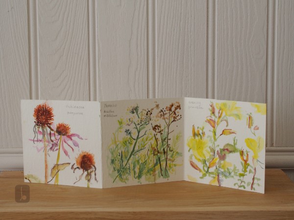 Flowers in August - Summer Light