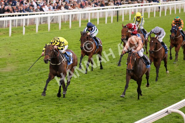 yr22052022r7-24 - Race 7: 6:40pm Sky Bet Sunday Series Fillies' and Mares Stakes