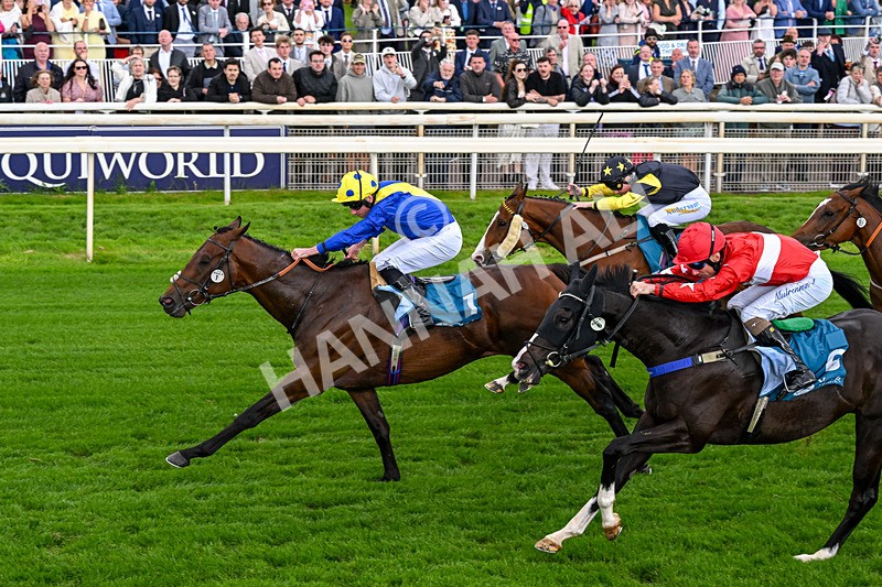 130626-Race 6-Point Of Contact-0651 - Race 6 16.50pm Ice Co Supporting Macmillan Handicap