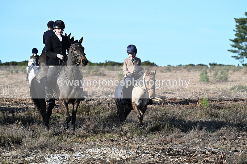 WJ7_7373 - Line 3 (no line 4 or 5)