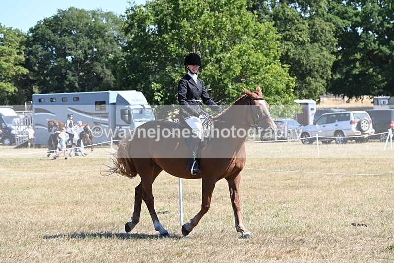 WJ6_8331 - Class 37a Best Loan Pony Ridden