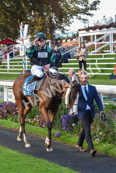 230923-Race 6-September Power-7072 - Race 6 4.55pm New To York Rio Brazilian Handicap