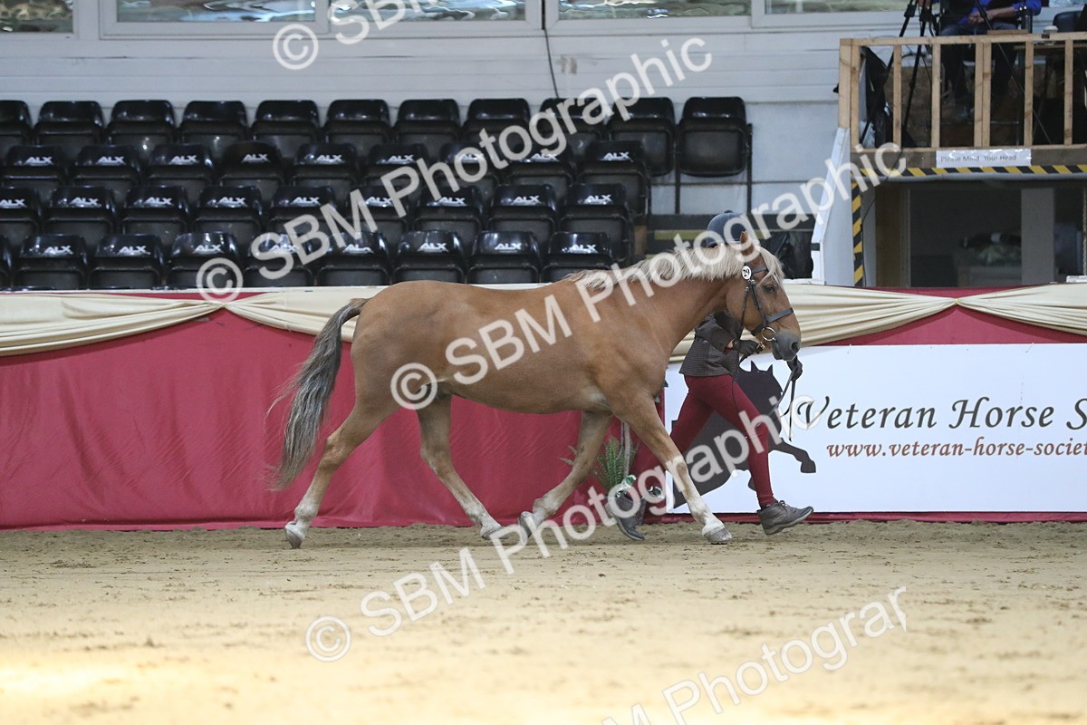 SBM_04376 - Class 7R Regional - IH Diamond