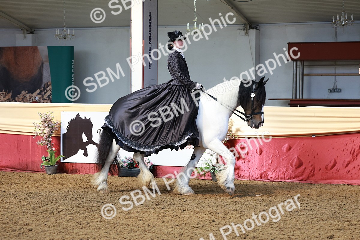 SBM_13690 - Class 106 - Ridden Costume -Astride Adult (15-19)