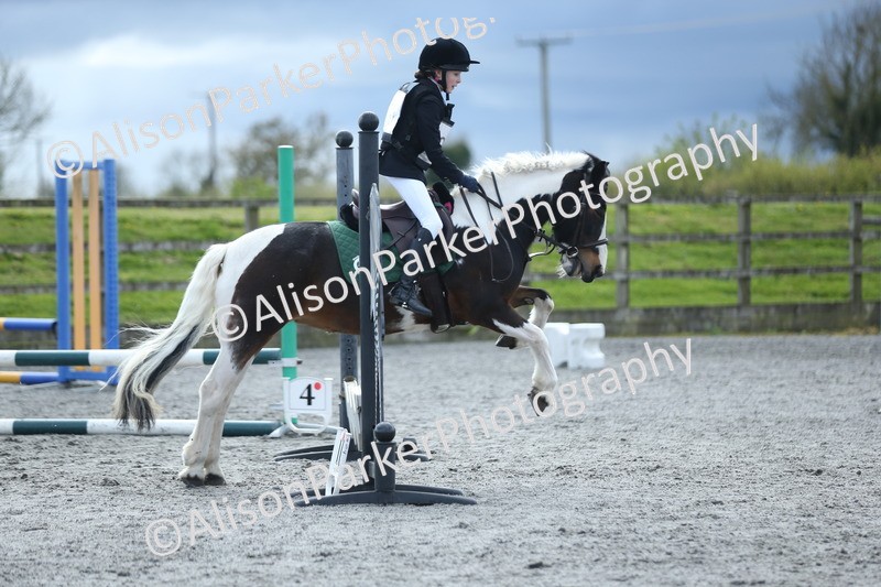 20260412-1830 - Show Jumping