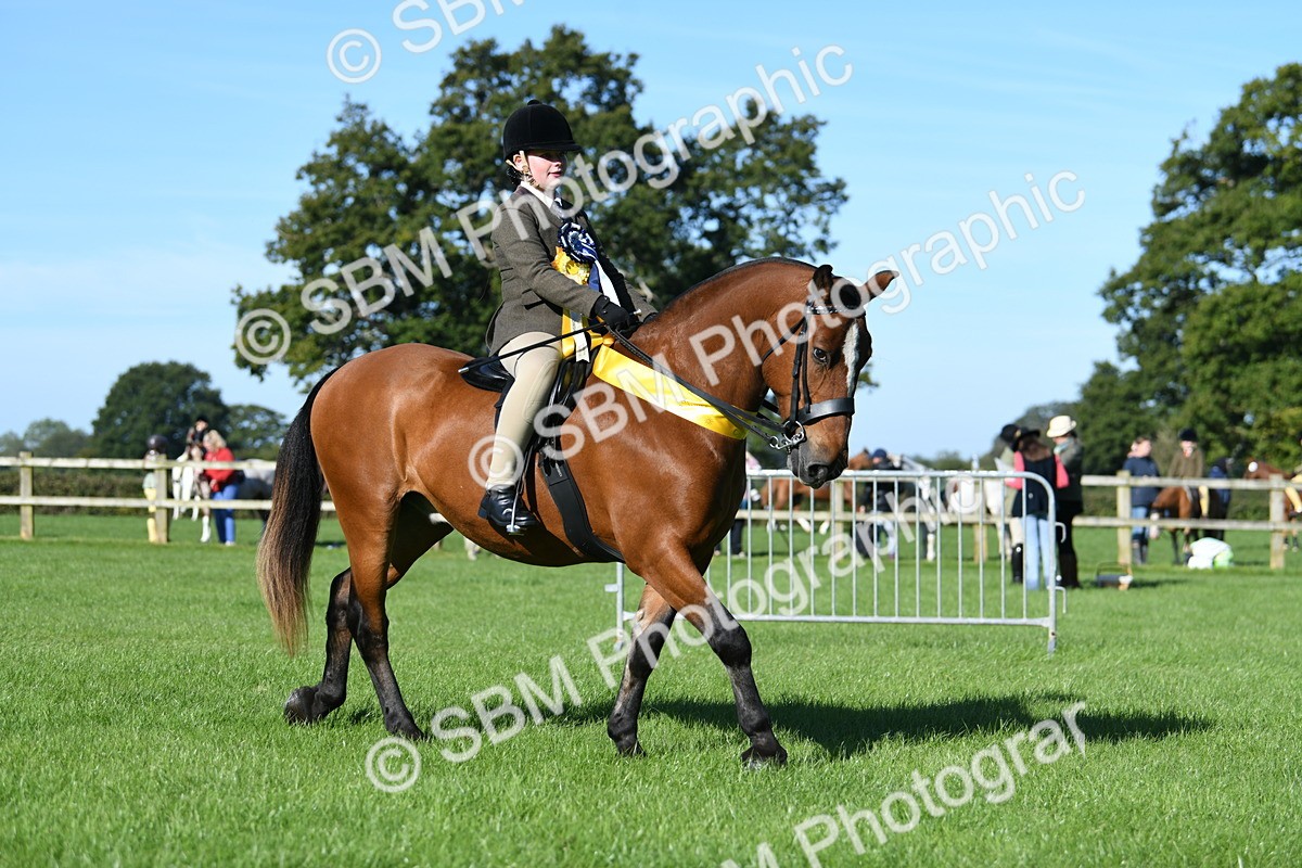 SBM_35632 - Top Turnout Supreme Championship