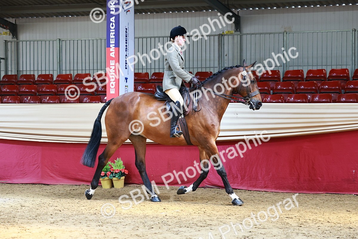 SBM_23875 - Class 905 - Supreme Final - Ridden Veteran