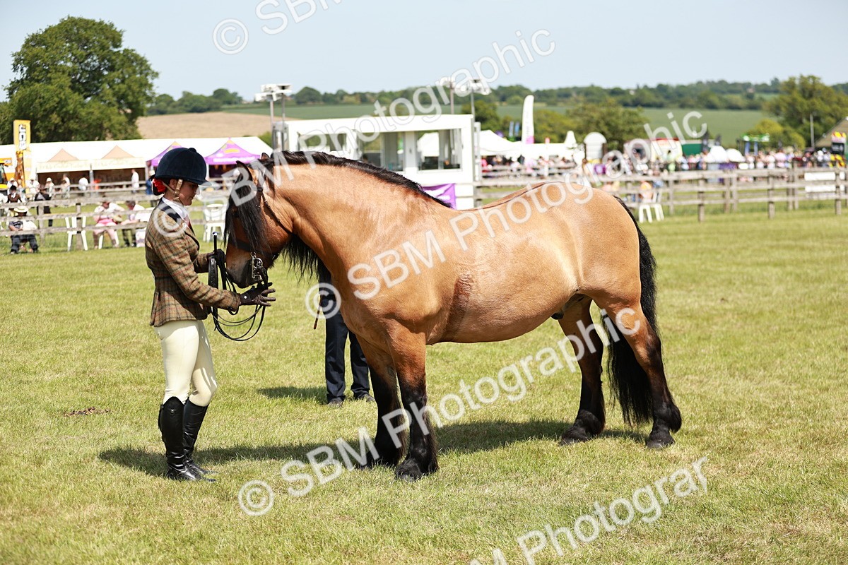 SBM_07152 - Class 26-30 - Mountain and Moorland Ridden