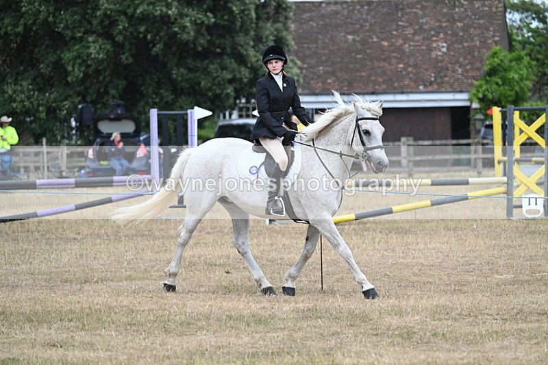 WJ7_0963 - Class 7 Riding Club Show Horse