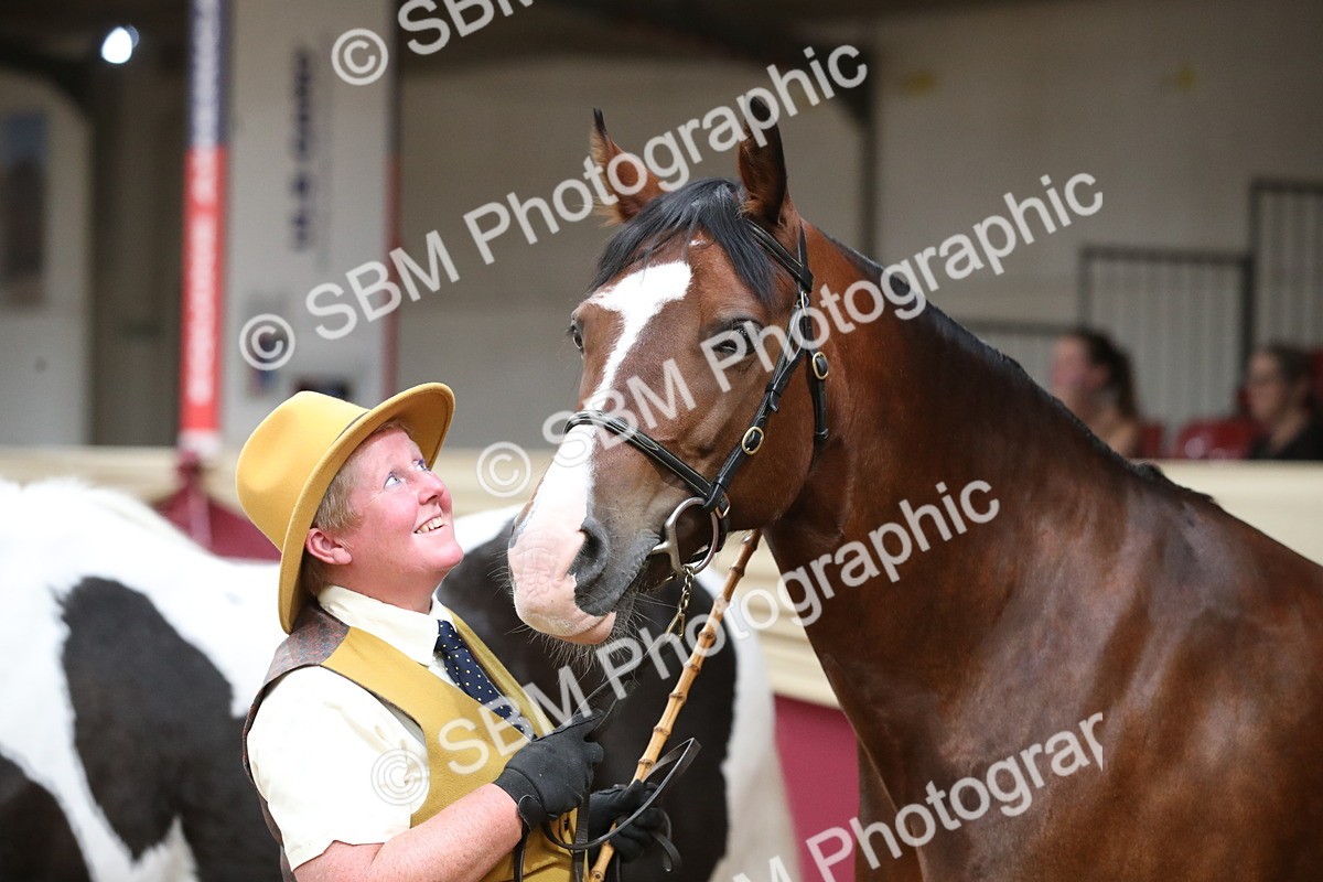 SBM_05672 - Class 9R - Regional IH Pre-Vet