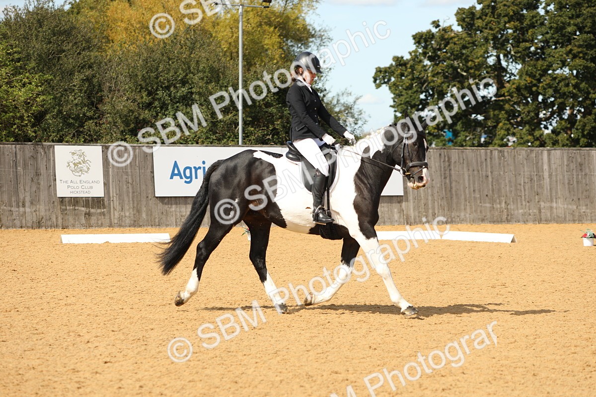 SBM_22176 - D17 - Grand Tour Championship - Novice 27