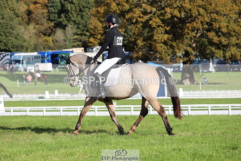 251024A-100906-07664 - D-342-Jessica.Saunders