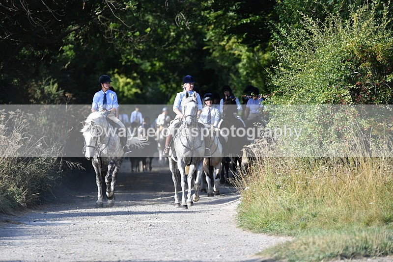 WJ5_4858 - Walk out with the hounds