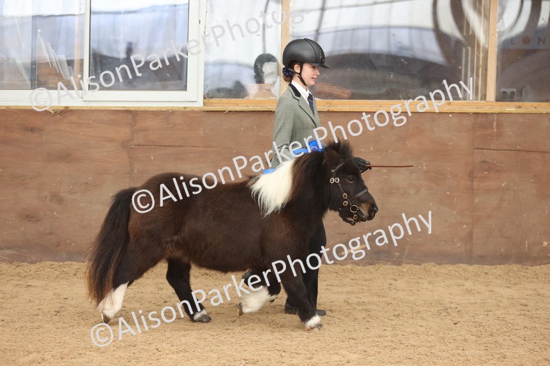 20251109-0426 - Class 15 - Coloureds