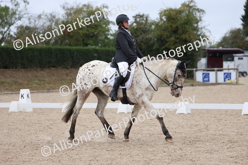 20250820-0276 - Class 9 - My Quest Prelim 3