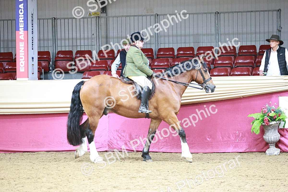 SBM_03114 - Class 5A - Area Ridden Veteran