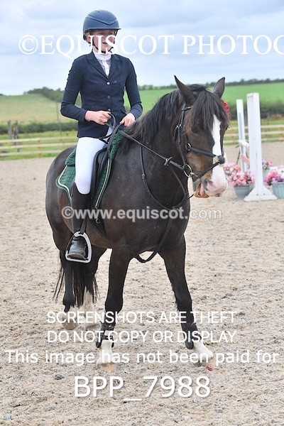 BPP_7988 - CLASS 6 Springboard 128cm/ 138cm Restricted Handicap