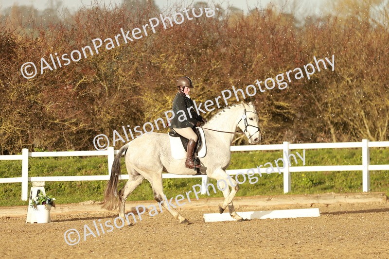 20260314-6419 - CT7 - Elementary 2