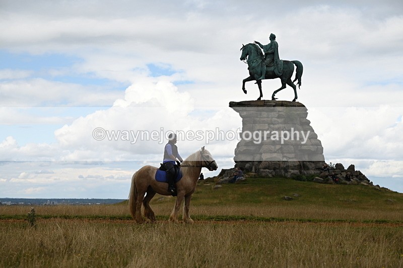 DSC_9565 - Time at Statue 15:11 to 15:58