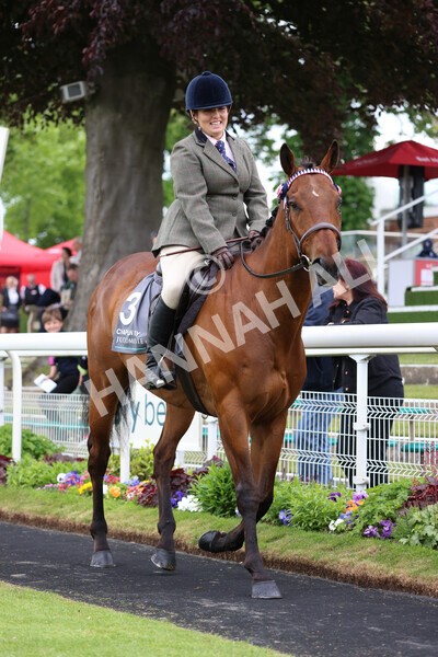 yr22052022r8e-83 - ROR - Parade Ring York
