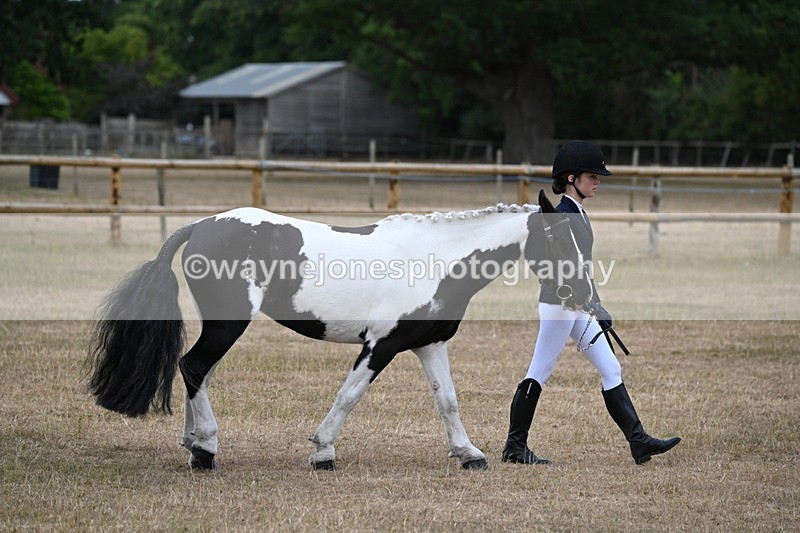 WJ6_7867 - Class 10 Coloured in Hand