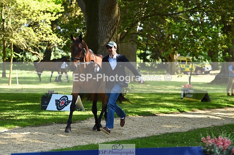 230524-153448-00368 - 360-NO_RUSH_ONE-Marcio_Carvalho_Jorge-WEDTrotUp+DR