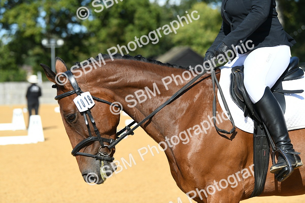 SBM_24973 - D13 - Grand Tour Championship - Prelim 12