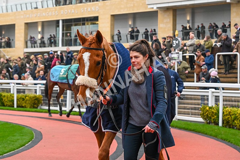 131224-Race 3-To Chase A Dream-9356 - Race 3