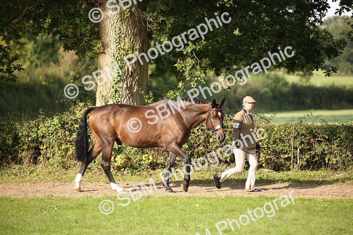 SBM_60046 - S53 - Hunter In Hand