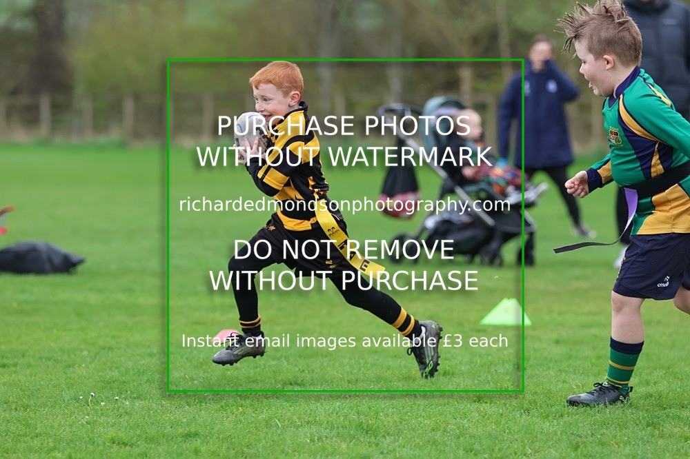 533A5253 - Kendal Rugby Under 7's (12/4/26)