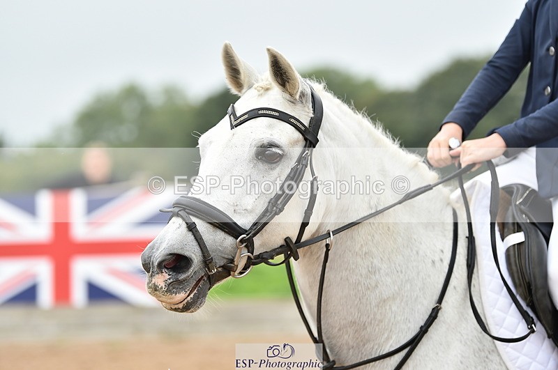 230902A-111738-00657 - Cls 2B Pony Small 80cm