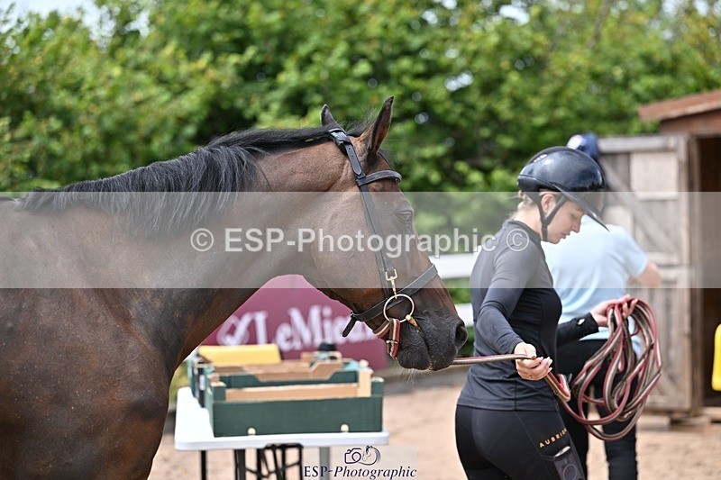 250716-130848-00364 - Trot Up 12.30 to 1.30