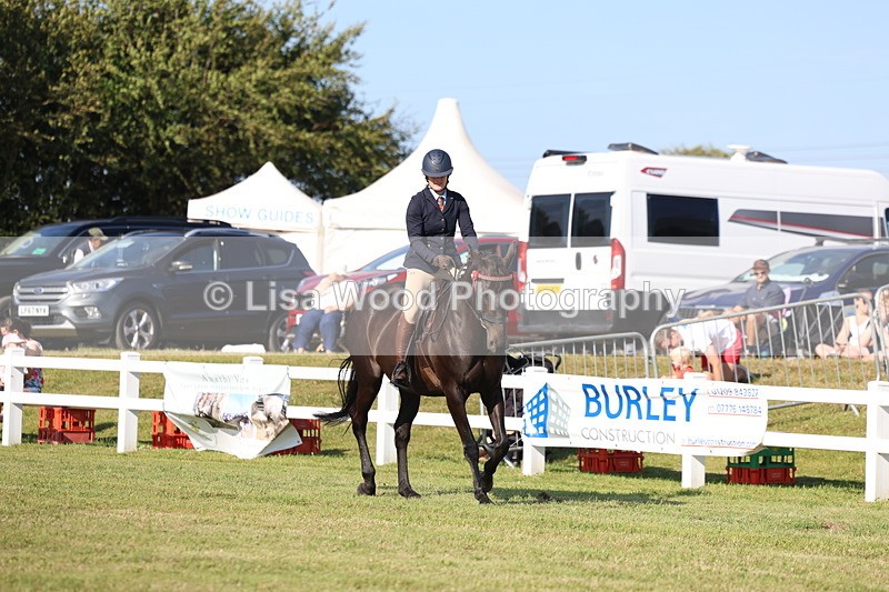 3E7A5599 - Class 2: Rising Star Large Hack/Riding Horse