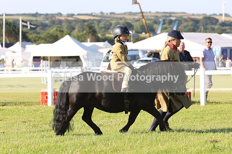 JPP_0680 - Class 16: Cornish Combination Leading Rein