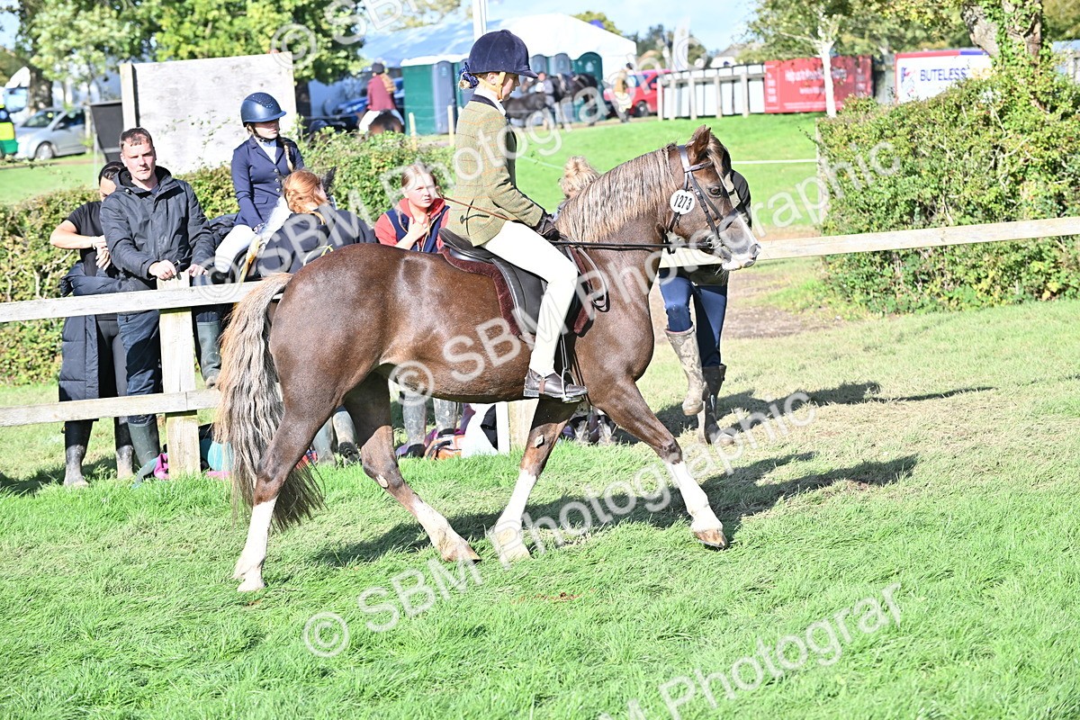 SBM_50295 - S21 - Novice & Newcomers First Ridden