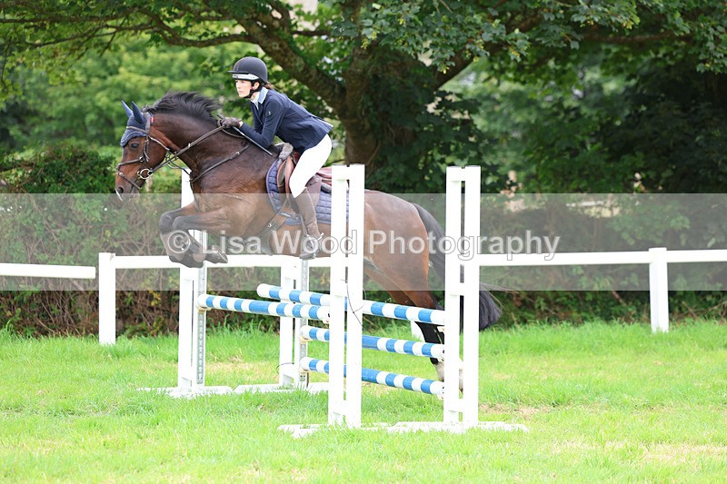 3E7A7137 - Class 5: Senior British Novice/90cm open