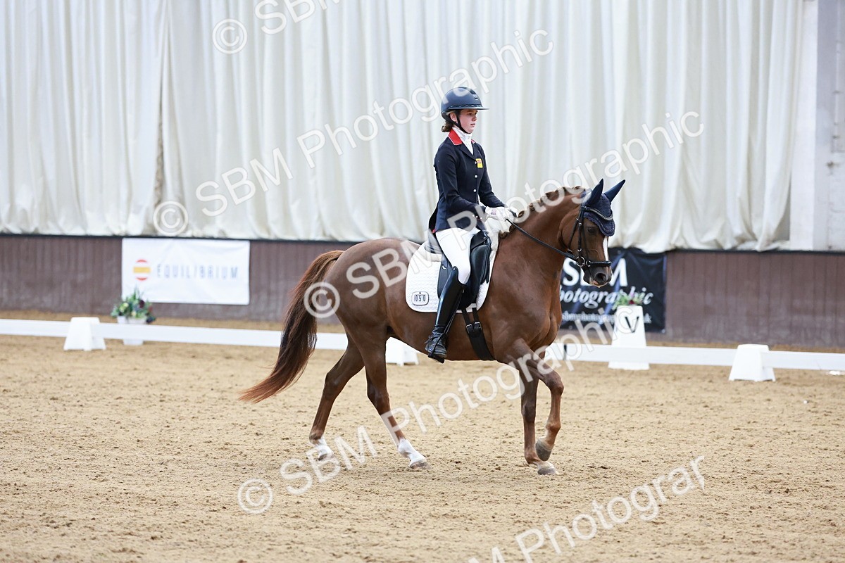 SBM_017172 - Class15 - FEI Pony